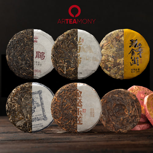 Deine Tee-Reise durch Yunnan – 6 Pu-Erh Tees: Yu Lian, Bingdao, Xi Gui, Yi Wu, Ban Zhang, Purple Beauty