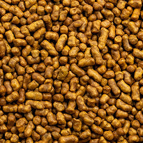 
 Abschnitt 5 An Mitglied werden