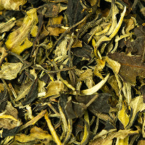 
 Abschnitt 5 An Mitglied werden