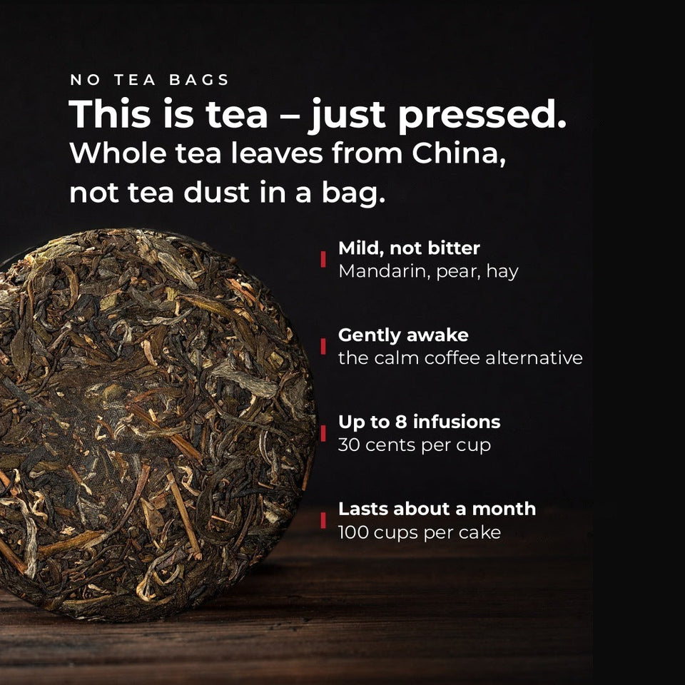 Xi Gui Gu Shu, 2021 – Infographic: This is tea, just pressed (EN)