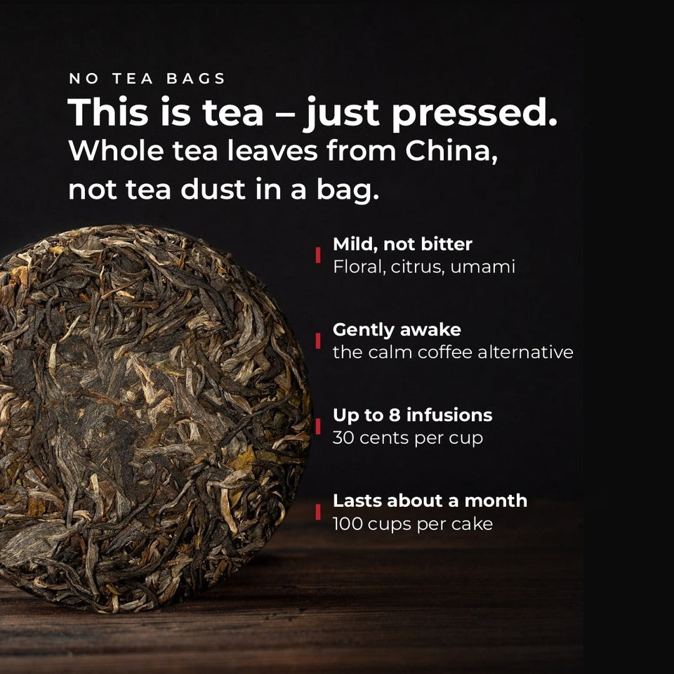 Yi Wu Wan Gong, 2021 – Infographic: This is tea, just pressed (EN)
