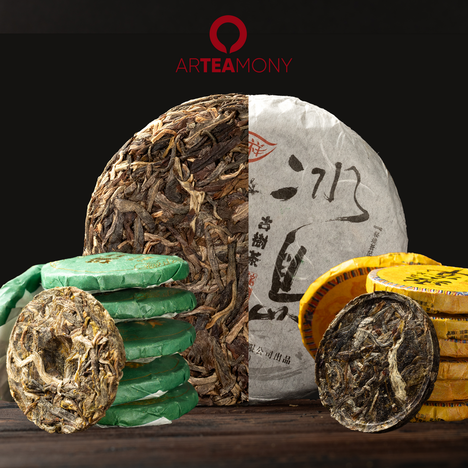 
Sheng Pu-Erh Tee - Starter Set. Drei Gesichter von Yunnan Bild 1