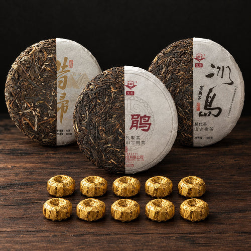 Your Pu-Erh Ritual: three 100 g Sheng tea cakes, each shown half unwrapped, with 10 gold-wrapped Jin ke Shou portions