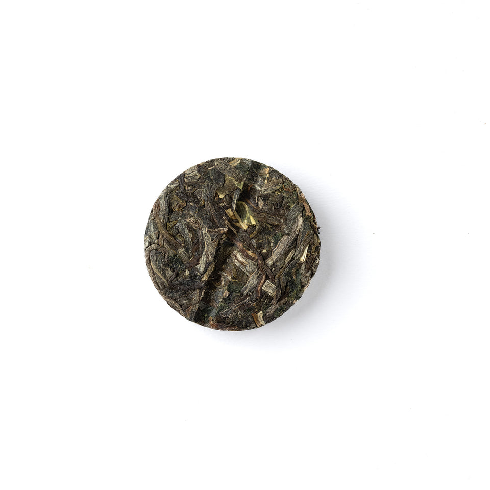 
Sheng Pu-Erh Tee „Klebreis“, 2024, aus Yunnan Bild 2