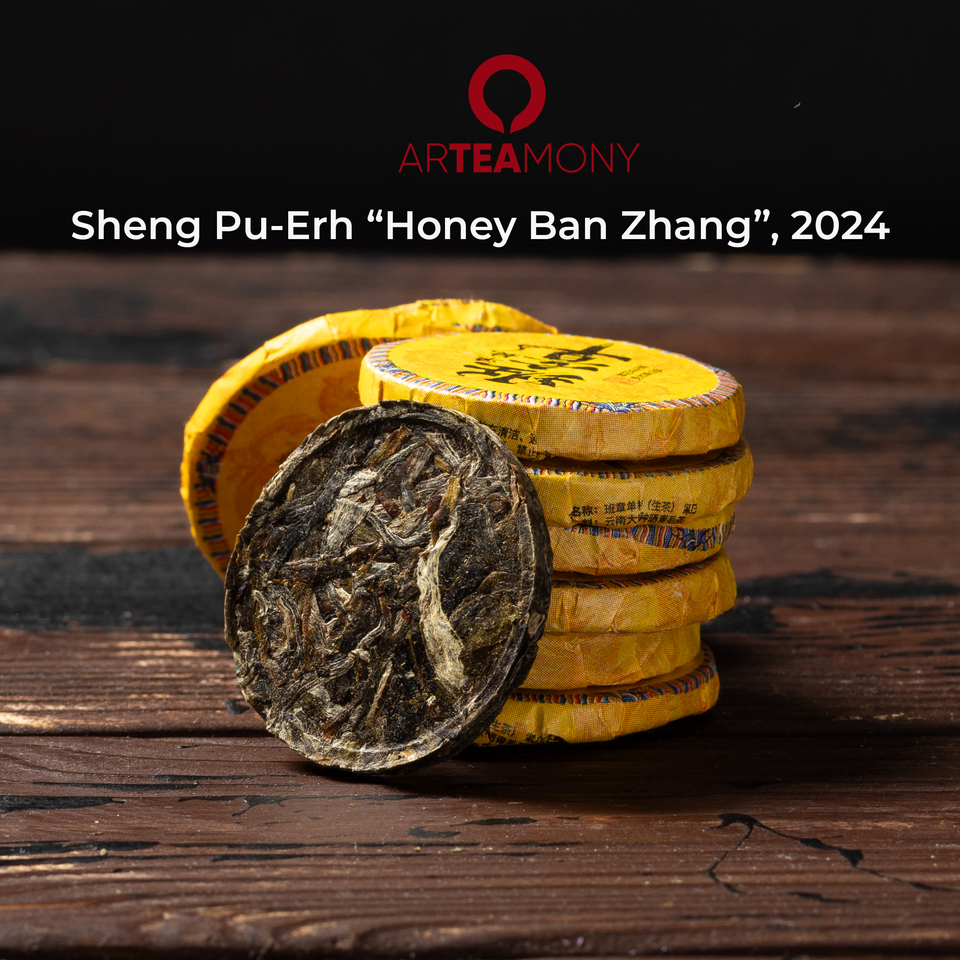 
Sheng Pu-Erh Tee - Starter Set. Drei Gesichter von Yunnan Bild 3