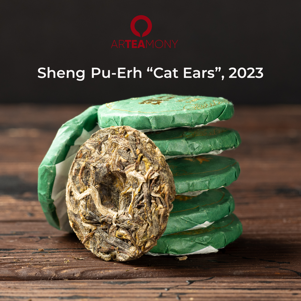 
Sheng Pu-Erh Tee - Starter Set. Drei Gesichter von Yunnan Bild 4